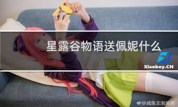 星露谷物语送佩妮什么