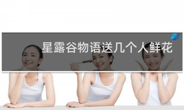 星露谷物语送几个人鲜花