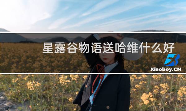 星露谷物语送哈维什么好