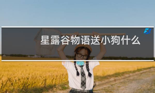星露谷物语送小狗什么