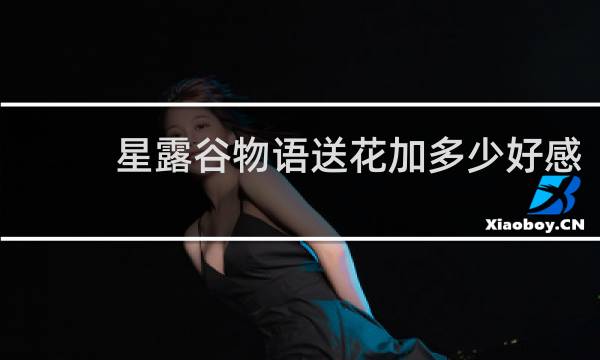 星露谷物语送花加多少好感