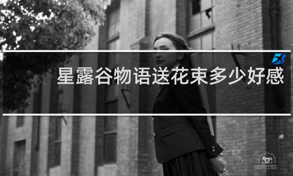星露谷物语送花束多少好感