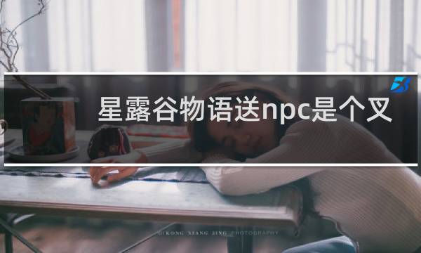星露谷物语送npc是个叉