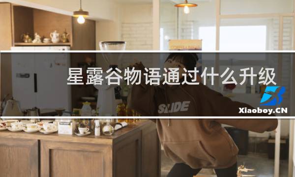 星露谷物语通过什么升级