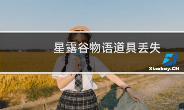 星露谷物语道具丢失