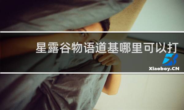 星露谷物语道基哪里可以打