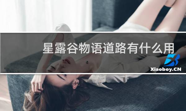 星露谷物语道路有什么用