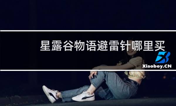 星露谷物语避雷针哪里买