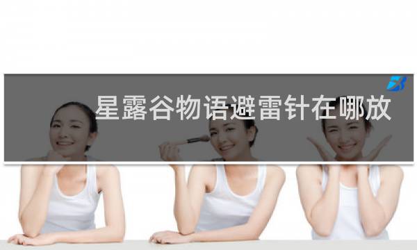 星露谷物语避雷针在哪放