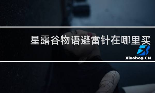 星露谷物语避雷针在哪里买