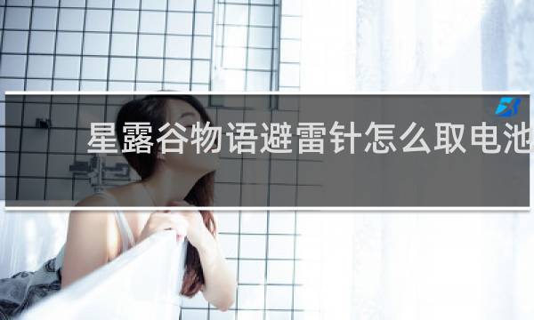 星露谷物语避雷针怎么取电池