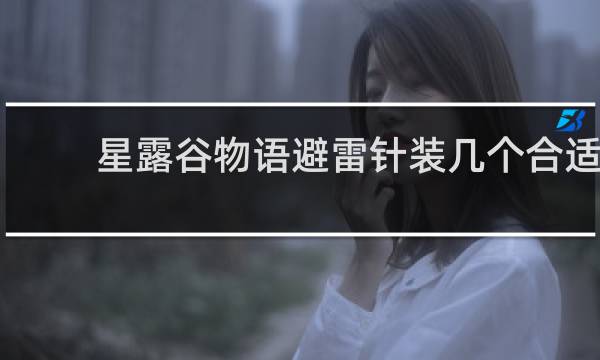 星露谷物语避雷针装几个合适