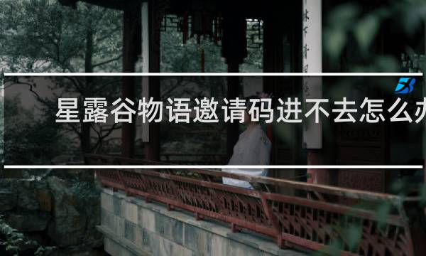 星露谷物语邀请码进不去怎么办