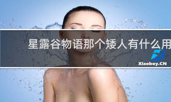 星露谷物语那个矮人有什么用