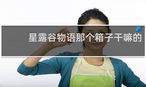 星露谷物语那个箱子干嘛的