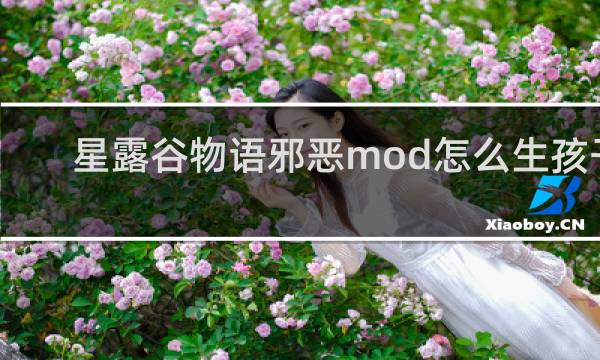 星露谷物语邪恶mod怎么生孩子