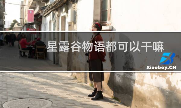 星露谷物语都可以干嘛