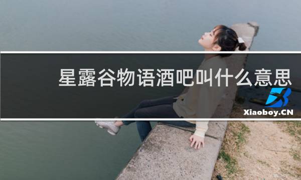 星露谷物语酒吧叫什么意思