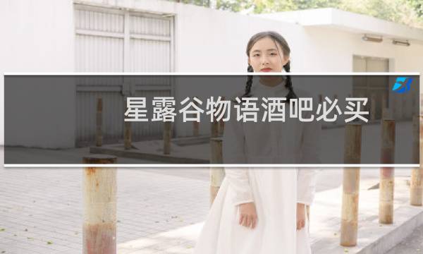 星露谷物语酒吧必买