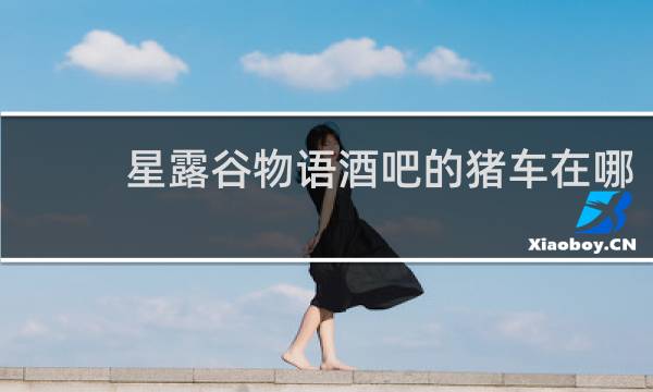 星露谷物语酒吧的猪车在哪