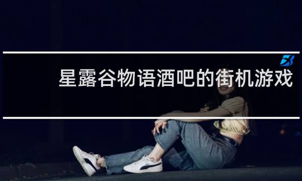 星露谷物语酒吧的街机游戏