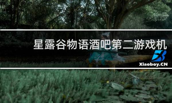 星露谷物语酒吧第二游戏机