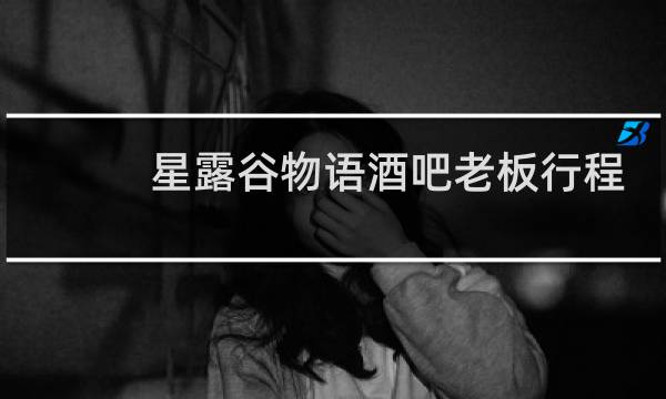 星露谷物语酒吧老板行程