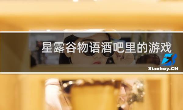 星露谷物语酒吧里的游戏