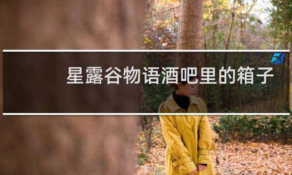 星露谷物语酒吧里的箱子