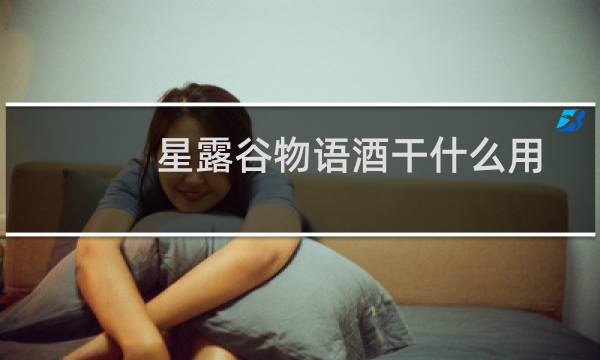 星露谷物语酒干什么用