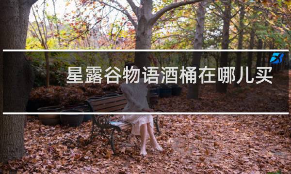 星露谷物语酒桶在哪儿买