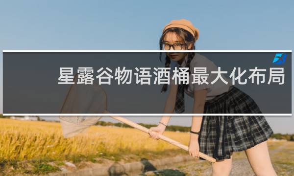 星露谷物语酒桶最大化布局