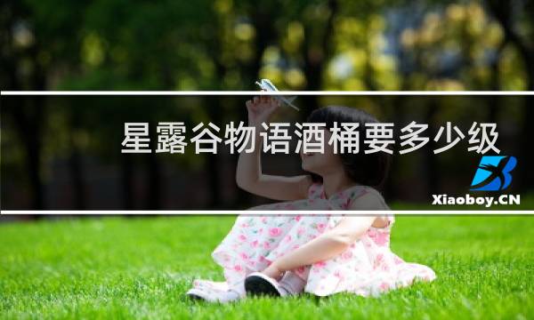 星露谷物语酒桶要多少级