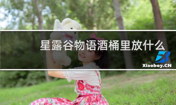 星露谷物语酒桶里放什么