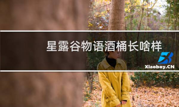 星露谷物语酒桶长啥样