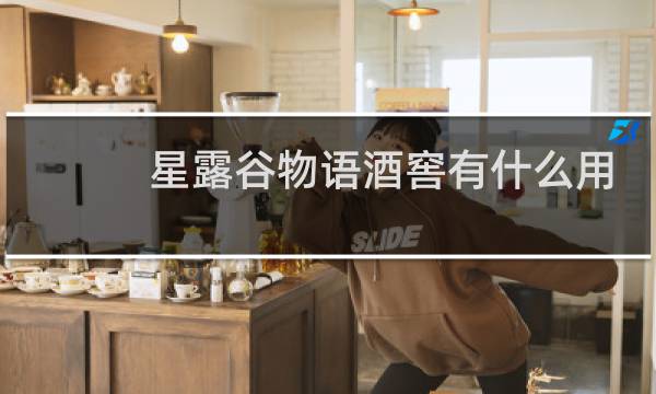 星露谷物语酒窖有什么用