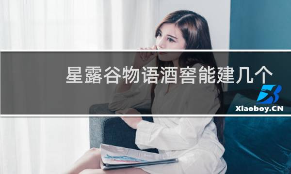 星露谷物语酒窖能建几个
