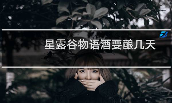 星露谷物语酒要酿几天