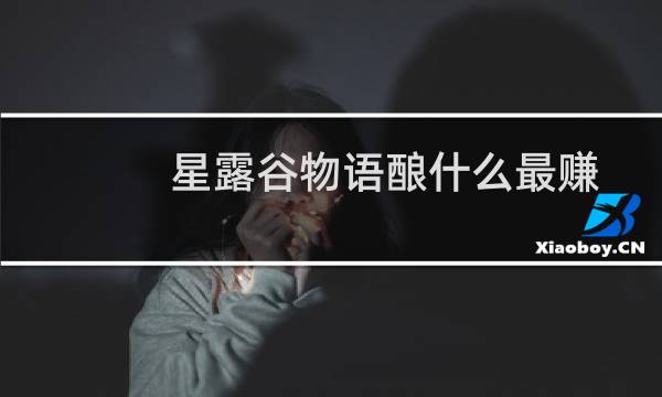 星露谷物语酿什么最赚