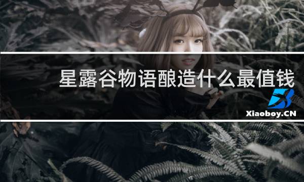 星露谷物语酿造什么最值钱