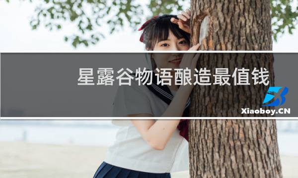 星露谷物语酿造最值钱