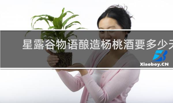 星露谷物语酿造杨桃酒要多少天