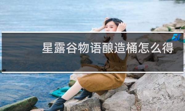 星露谷物语酿造桶怎么得