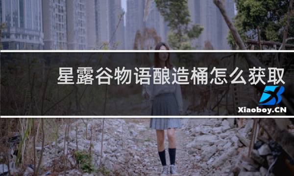 星露谷物语酿造桶怎么获取