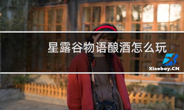 星露谷物语酿酒怎么玩