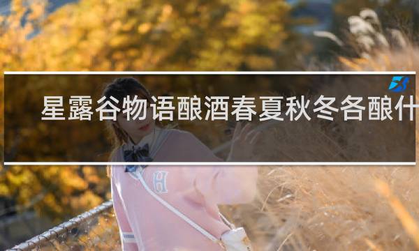 星露谷物语酿酒春夏秋冬各酿什么