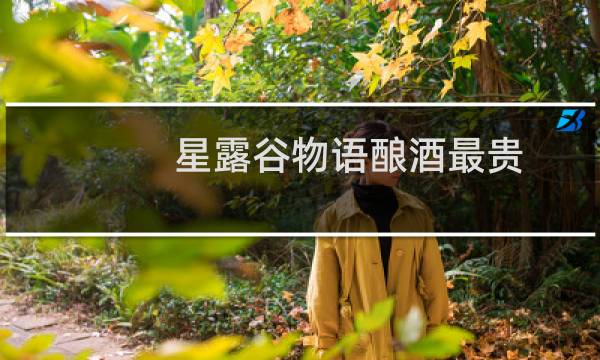 星露谷物语酿酒最贵