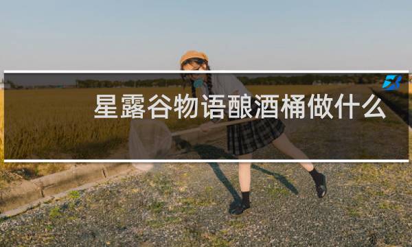 星露谷物语酿酒桶做什么