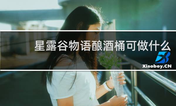 星露谷物语酿酒桶可做什么