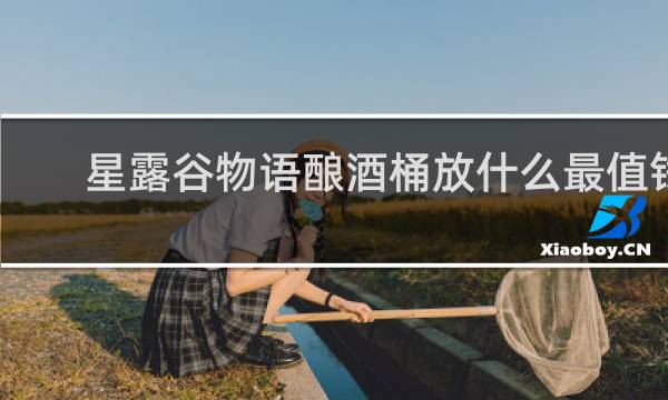 星露谷物语酿酒桶放什么最值钱